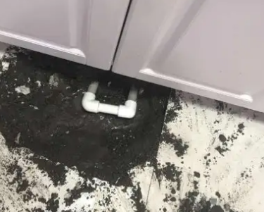 扎鲁特查漏水哪家好